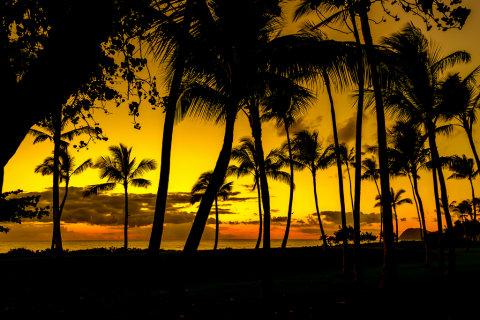 【免費生活App】Live Sunset Wallpaper-APP點子