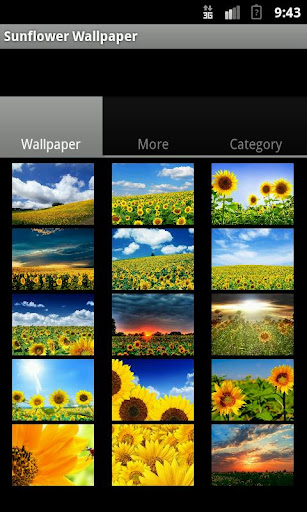 【免費攝影App】Sunflower Wallpaper-APP點子