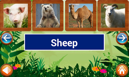 Animals and Birds by Intellisense poster 22