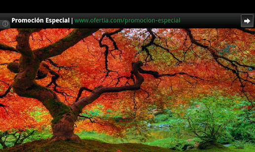 How to install Nature Fall Puzzles patch 1.0 apk for bluestacks