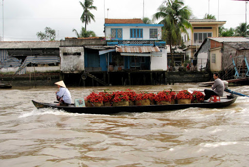 market-Vietnam - A pretty long boat carrying its load of rambutan around the floating market of Cái Bè, Vietnam.