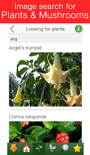 Poisoning: Child First Aid - PRO - náhled