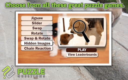 Beagle Dog Puzzle Games