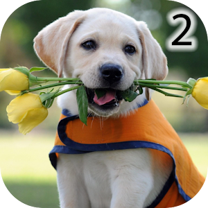 Imagenes Bonitas con Frases 2.apk 4.2