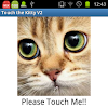 Touch The Kitty V2.5