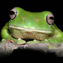 1000 Biology Terms & Quiz