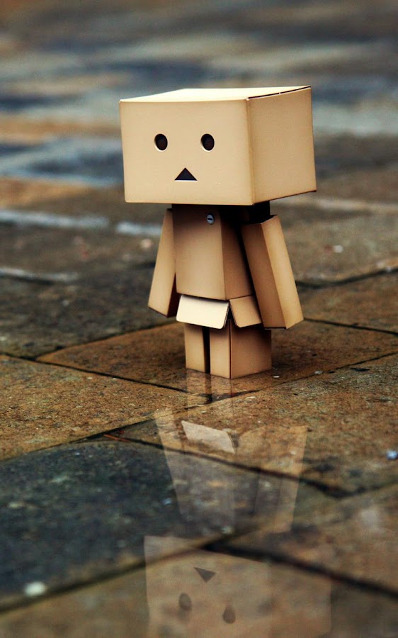Danbo Live Wallpaper - Android Apps on Google Play