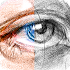 Sketch Me! - Sketch & Cartoon1.68