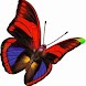 Butterfly Pics Link Game.
