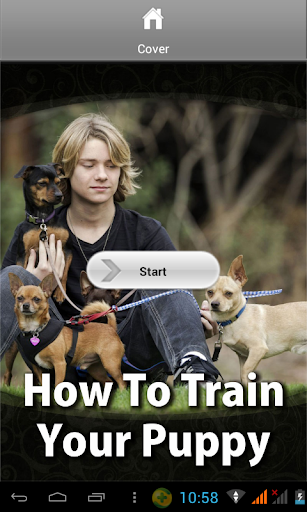 How To Train Your Puppy