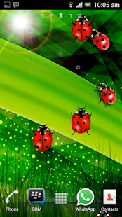 How to mod Colorful Ladybug Garden LWP patch 1.0 apk for android
