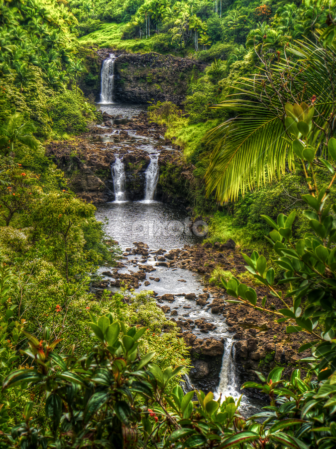 Trickle Down Effect by Jim Moon - Landscapes Forests