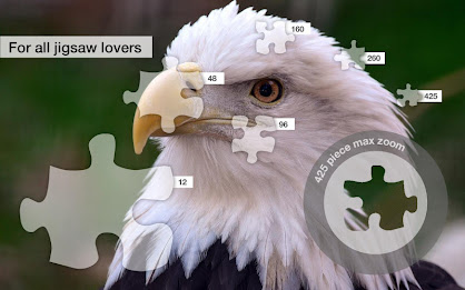 Bold Birds Jigsaw Puzzles Demo poster 2