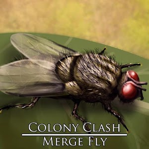 Colony Clash : Merge Fly.apk 1.0