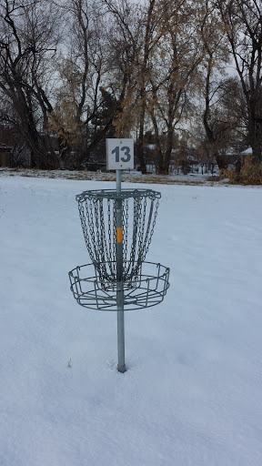 Disc Golf Basket #13