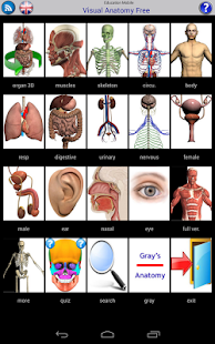 Visual Anatomy Free