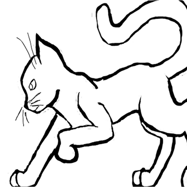 Free cat template Â» drawings Â» SketchPort