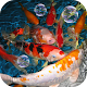 Download Koi Live Wallpaper For PC Windows and Mac 2.0