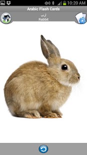 Arabic Flash Cards for Kids Screenshots 3