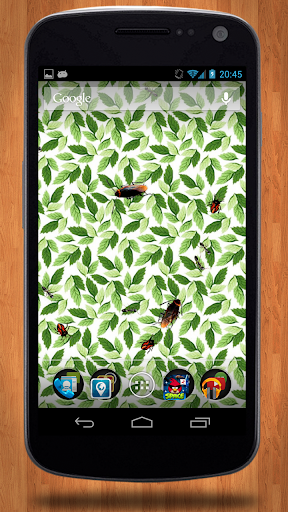 【免費個人化App】Bugs Live Wallpaper-APP點子