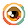Observa Download on Windows