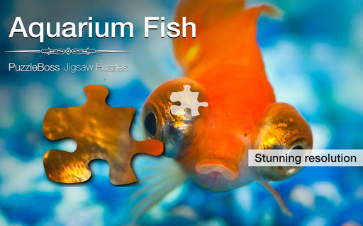 Aquarium Fish Jigsaw Puzzles
