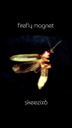 Firefly Magnet