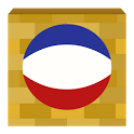 Retro Basketball icon