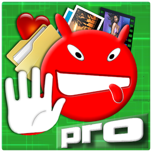 HAYS - Data Protection Pro.apk 1.0