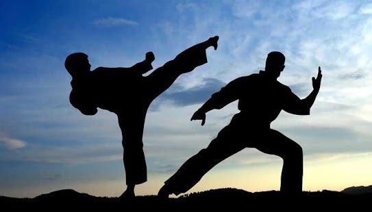 Lastest Martial Arts Training APK for Android