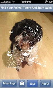 Lastest Animal Totem & Spirit Guide APK