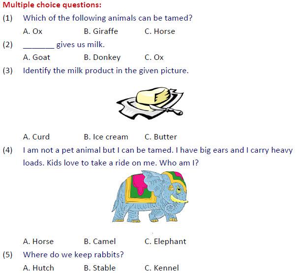 85 gk worksheets for grade 1 gk grade 1 worksheets for