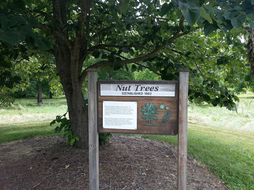 Trees ... With Nuts