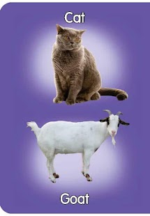 Domestic Animals Pre-School Screenshots 0