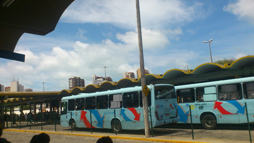 Papicu Bus Terminal