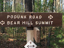 Bear Hill Summit 