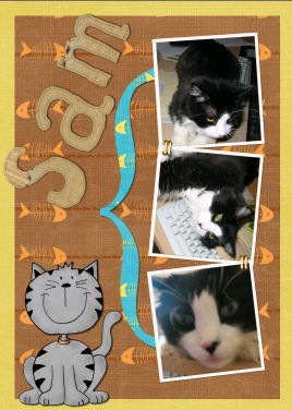 [sam_cat_kat[4].jpg]