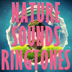 Cover Image of Download Best Nature Sounds Ringtones 1.0 APK