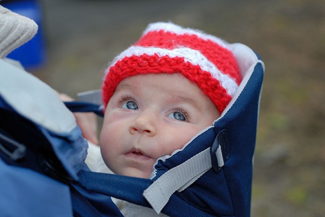 [DSC_06232[3].jpg]
