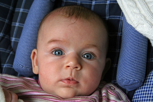 [EllenJune08_1071[2].jpg]