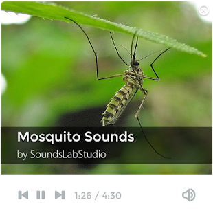 How to get Mosquito Sounds 1.3.2 apk for laptop