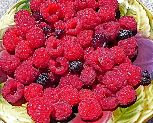 raspberries.jpg