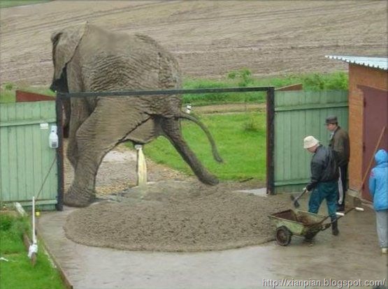 [pic11857[2].jpg]