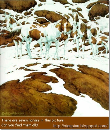 horses