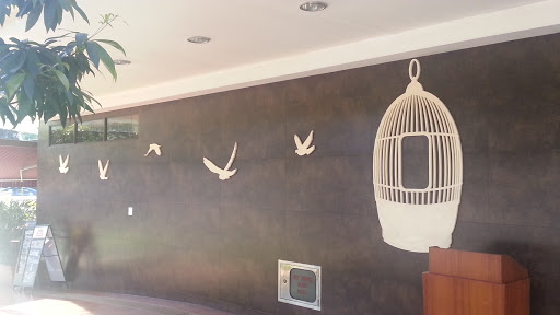 Bird Cage Mural