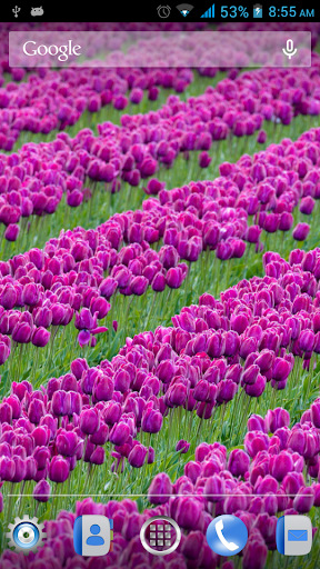 Stunning Flowers LiveWallpaper