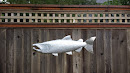Silver Salmon Plaque on Fence