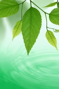 How to mod Best Nature Ringtones 1.3 mod apk for pc