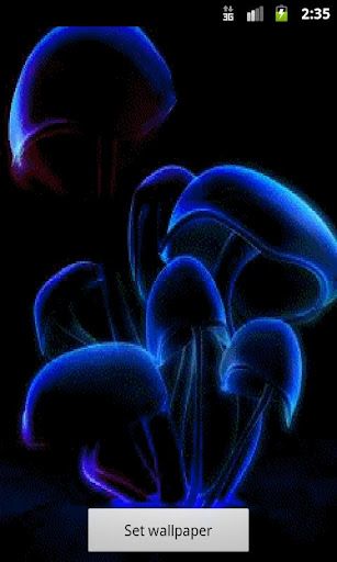 Mushrooms live wallpaper