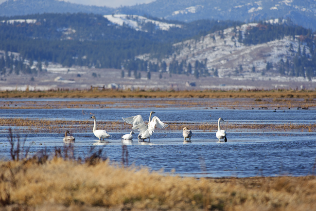 Wetland Reserve Program